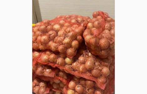 Продам цибулю