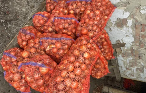 Продам овочі