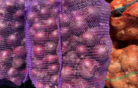 Цибуля синя