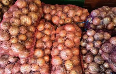 Продам цибулю опт