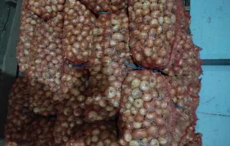 Продам штутгарт на перо є обєм