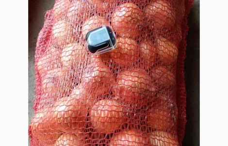 Продам золоту цибулю сорту Дерек. Крупний опт від 10 тонн