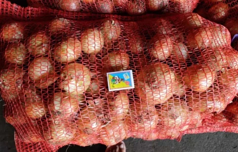 Продам лук цибулю Умань