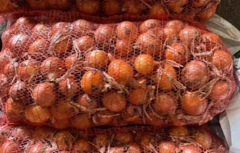 Продам цибулю оптом