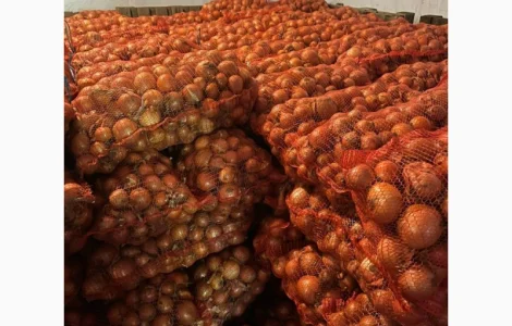 Фасована цибуля | Виробник | Сорт Медуза / Мелорі | Опт від 1 тонни