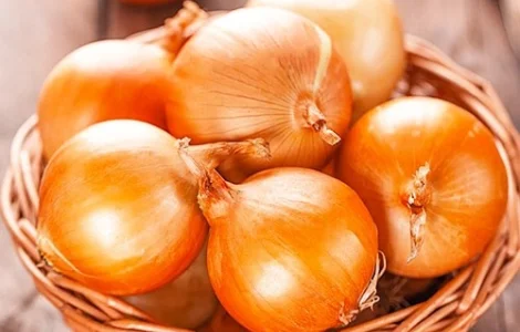 Купуємо цибулю ріпчасту оптом! Київ та область