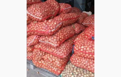 Продам цибулю