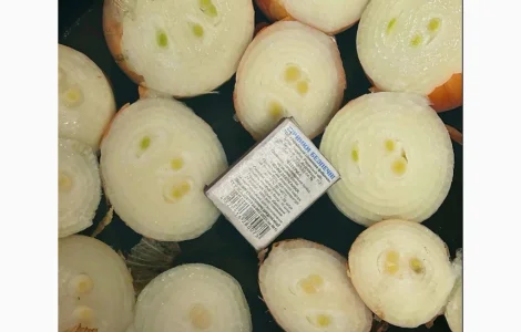 Продам лук на выгонку пера