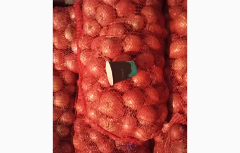 Продам цибулю манас