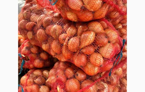 Продам Цибулю