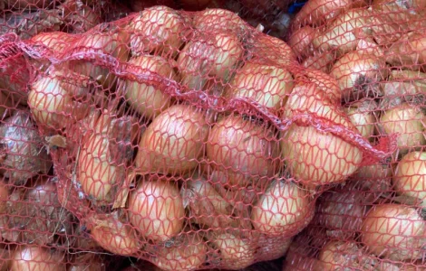 Продам Цибулю