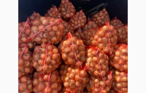 Продам цибулю