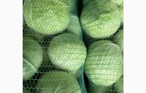 Продати капусту