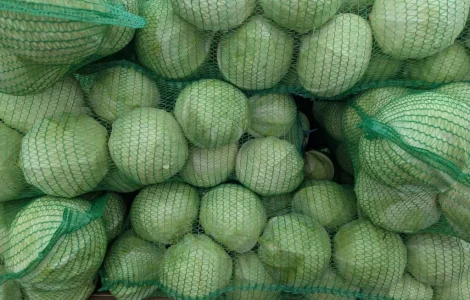 Продам капусту