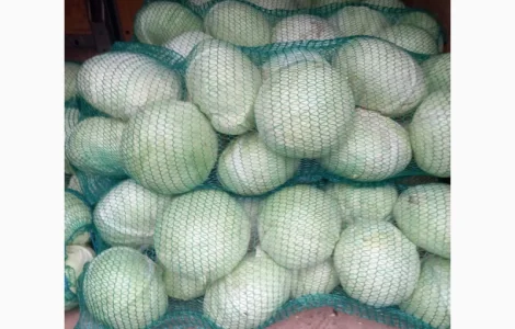 Продам капусту