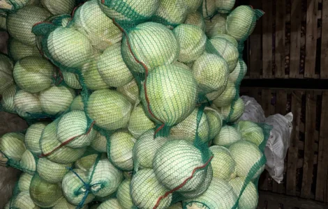 Продаємо капусту оптом