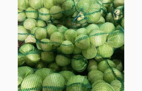 Продам капусту сорт Сторідор