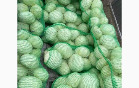 Продам капусту от поставщика c 10 тонн