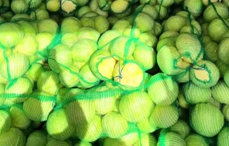 Капуста Агресор