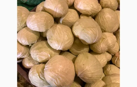 Продам капусту