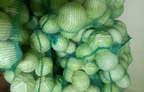 Продам капусту сорт епікур гарної якості