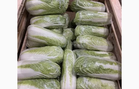 Продам пекінську капусту