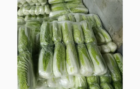 Продам пекінську капусту