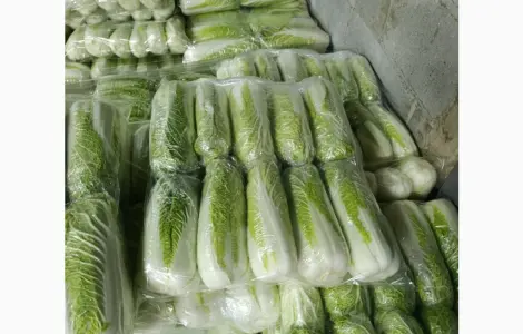 Продам пекінську капусту