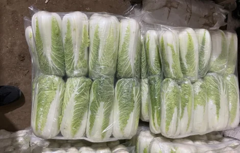 Продам Пекінську оптом