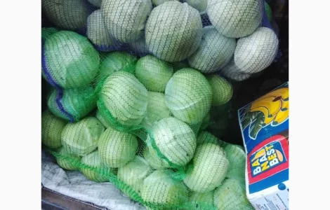 Продам капусту