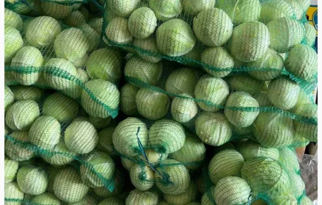 Продам білокачанну капусту