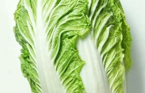 Пекінська капуста