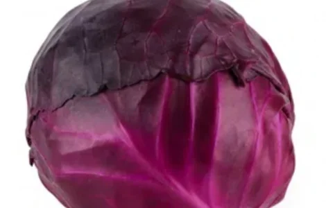 Продажа КАПУСТЫ Червоноголовой сорта Rodima