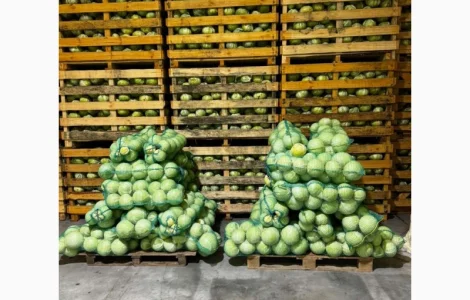 Продам капусту