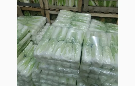 Продам Пекінську капусту і молоду бронко