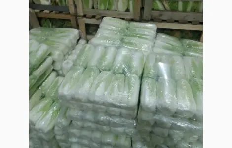 Продам Пекінську капусту і молоду бронко
