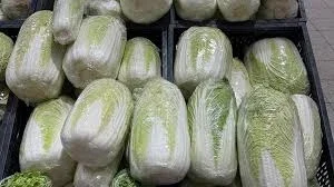 Закуповуємо пекінську капусту від 10 тонн (стабільний збут)