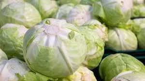 Куплю капусту білокачанну оптом (від 10 тонн)