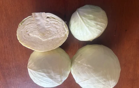 Продам капусту