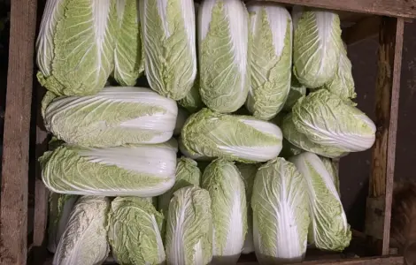 Продам пекінську капусту