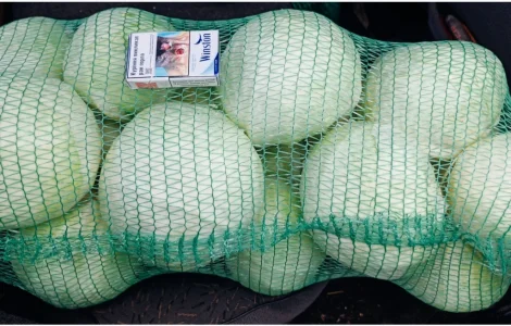 Продам капусту.Сорт Анкома. Гарної якості