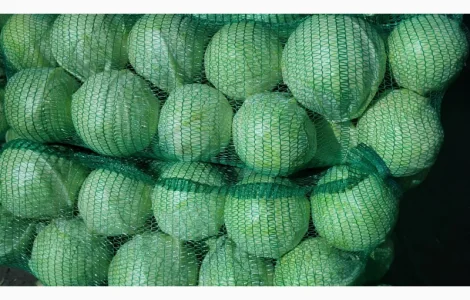 Продам капусту