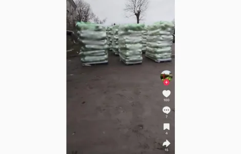 Продам капусту пізніх сортів