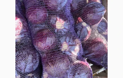 Продам капусту к/к