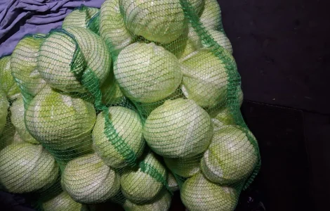 Продам капусту пізніх сортів