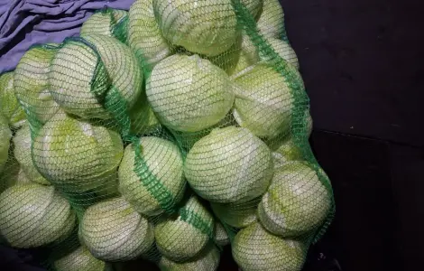 Продам капусту поздних сортов