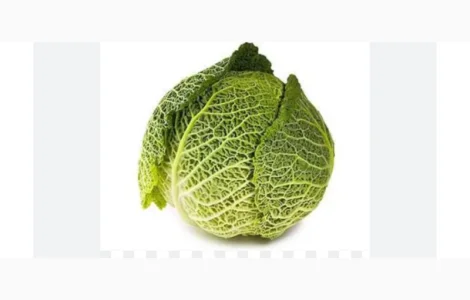 Продажа савойской капусты
