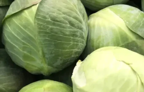 Продам капусту білокачанну