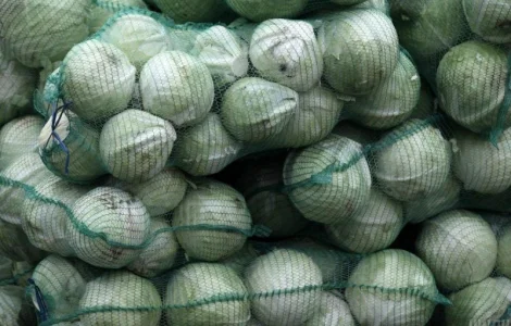 Продаж оптом капусти білокачанної 2 сорт