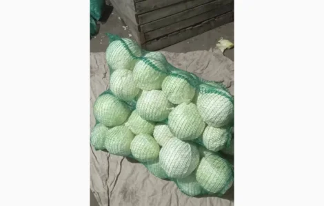 Продам Капусту